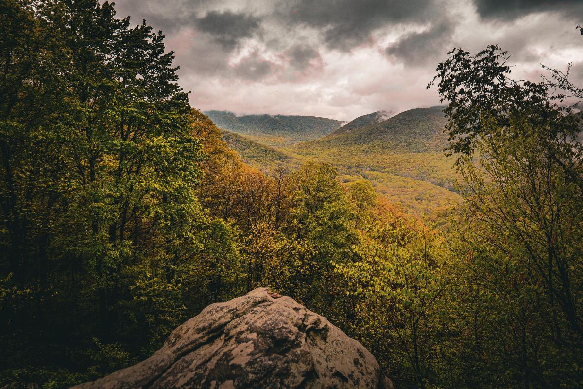 Baughman Overlook during the spring