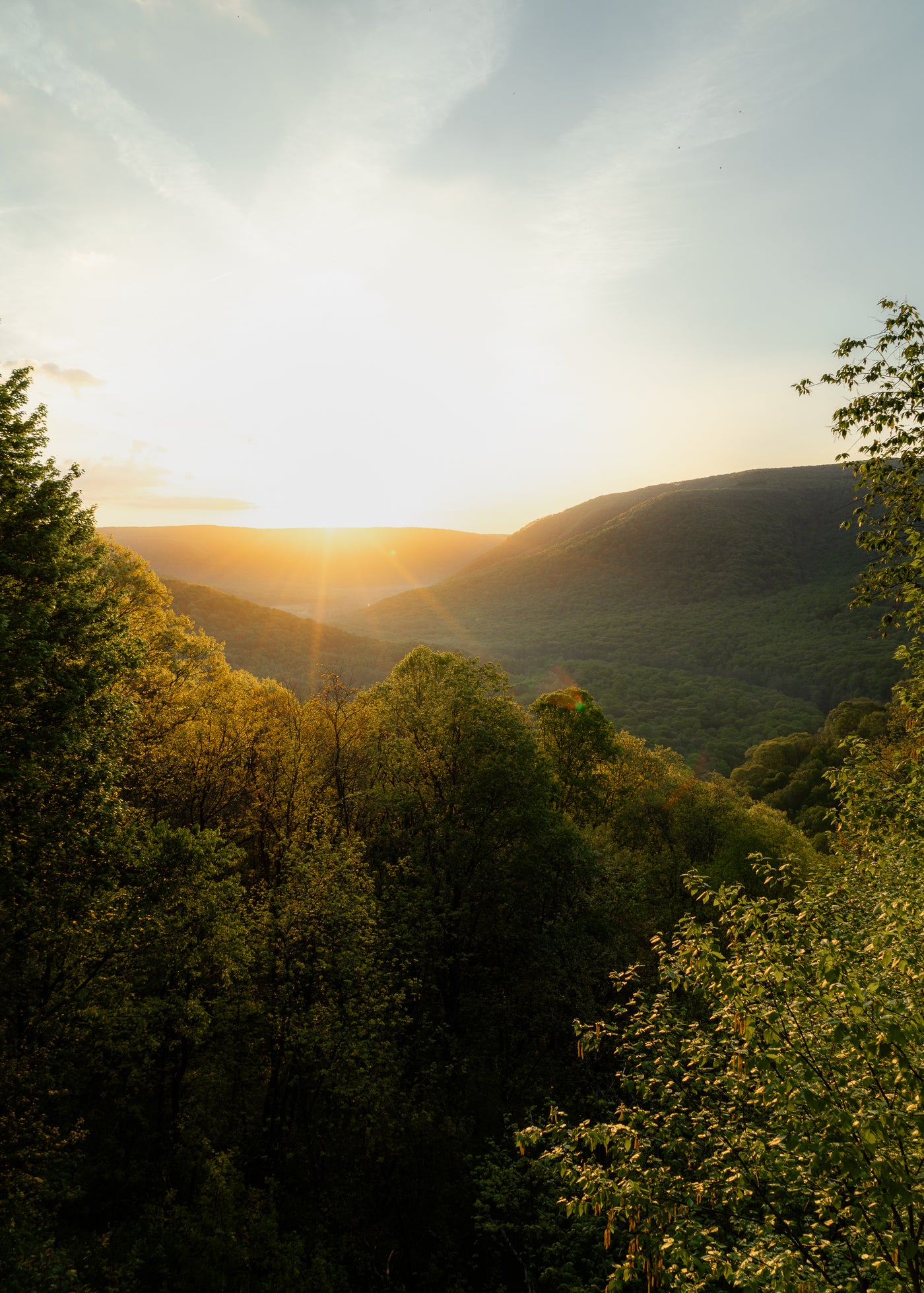 A view of the Laurel Highlands valley during sunset in Ohiopyle State Park