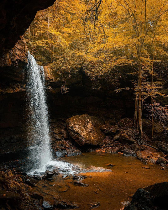 A photo of cucumber falls during fall