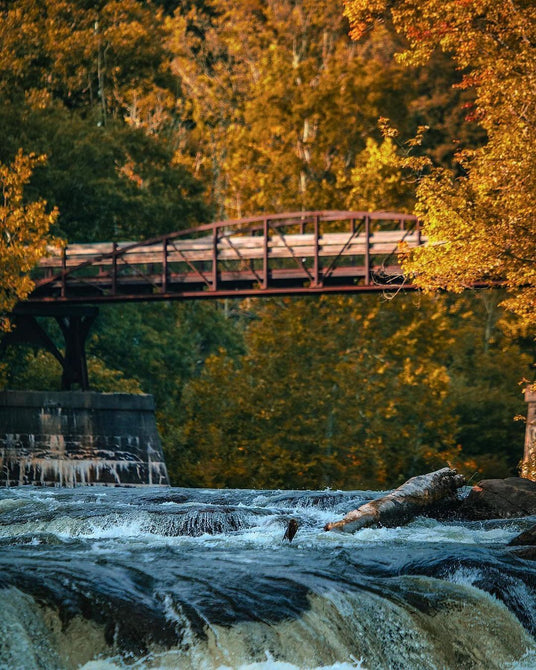 The Ohiopyle Low Bridge viewed from Ferncliff Trail during fall