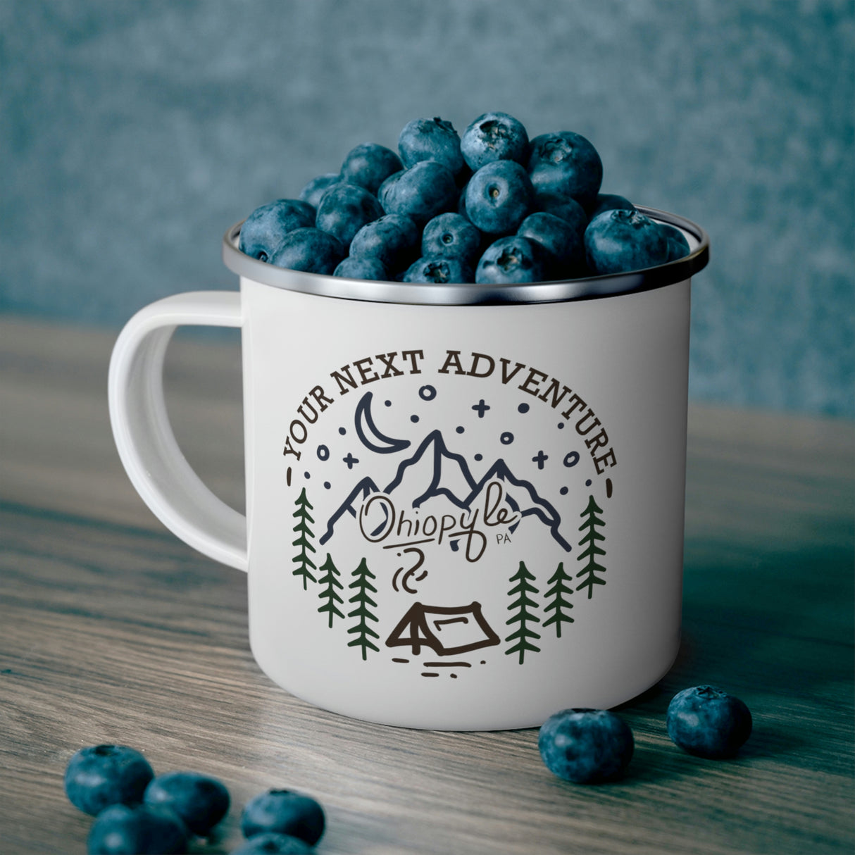 An Ohiopyle State Park Enamel Mug