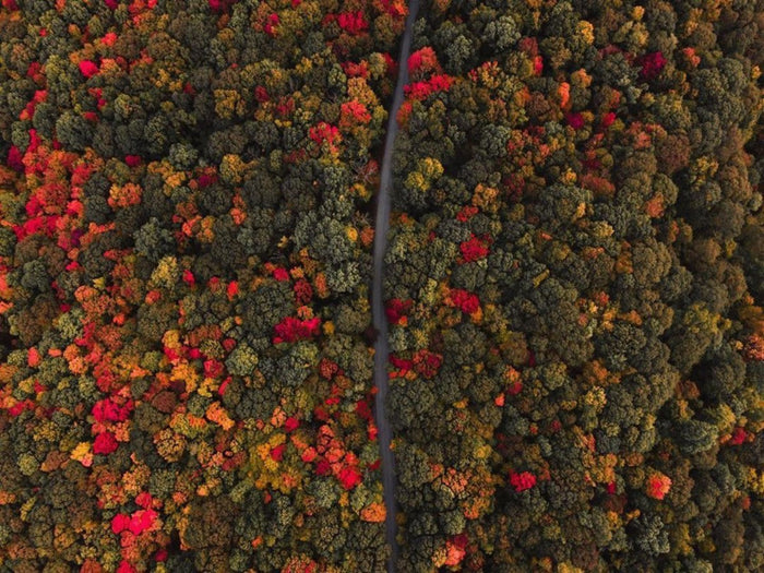 An aerial view of the road to Ohiopyle State Park in the Fall showcasing the autumn colors