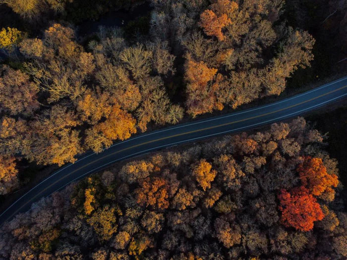 An aerial view of the road to Ohiopyle State Park in the Fall showcasing the autumn colors