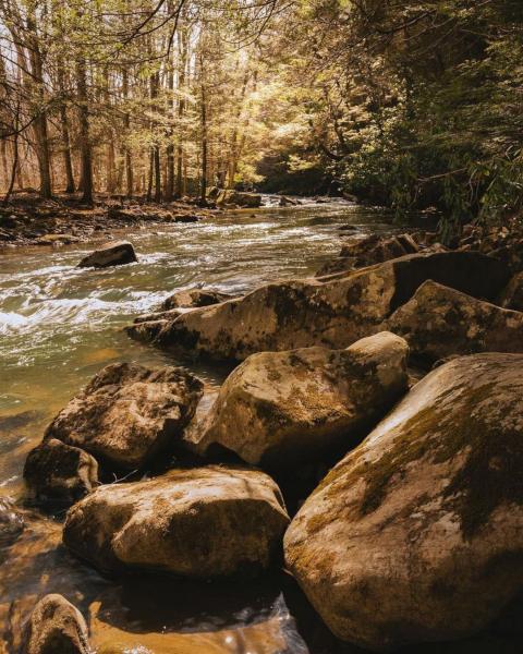 The Meadow Run Cascades in Ohiopyle State Park