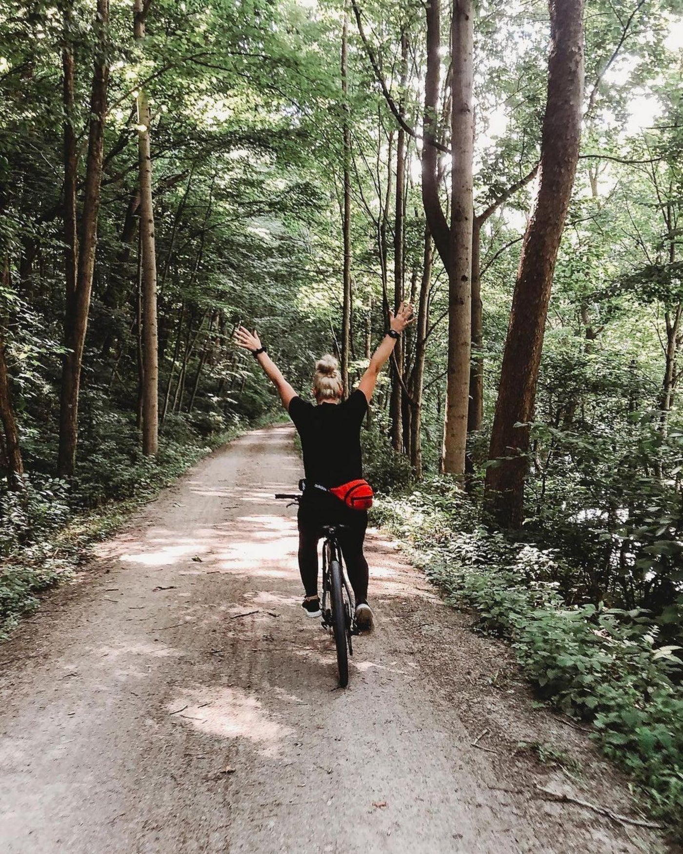 The Great Allegheny Passage Trail in summer