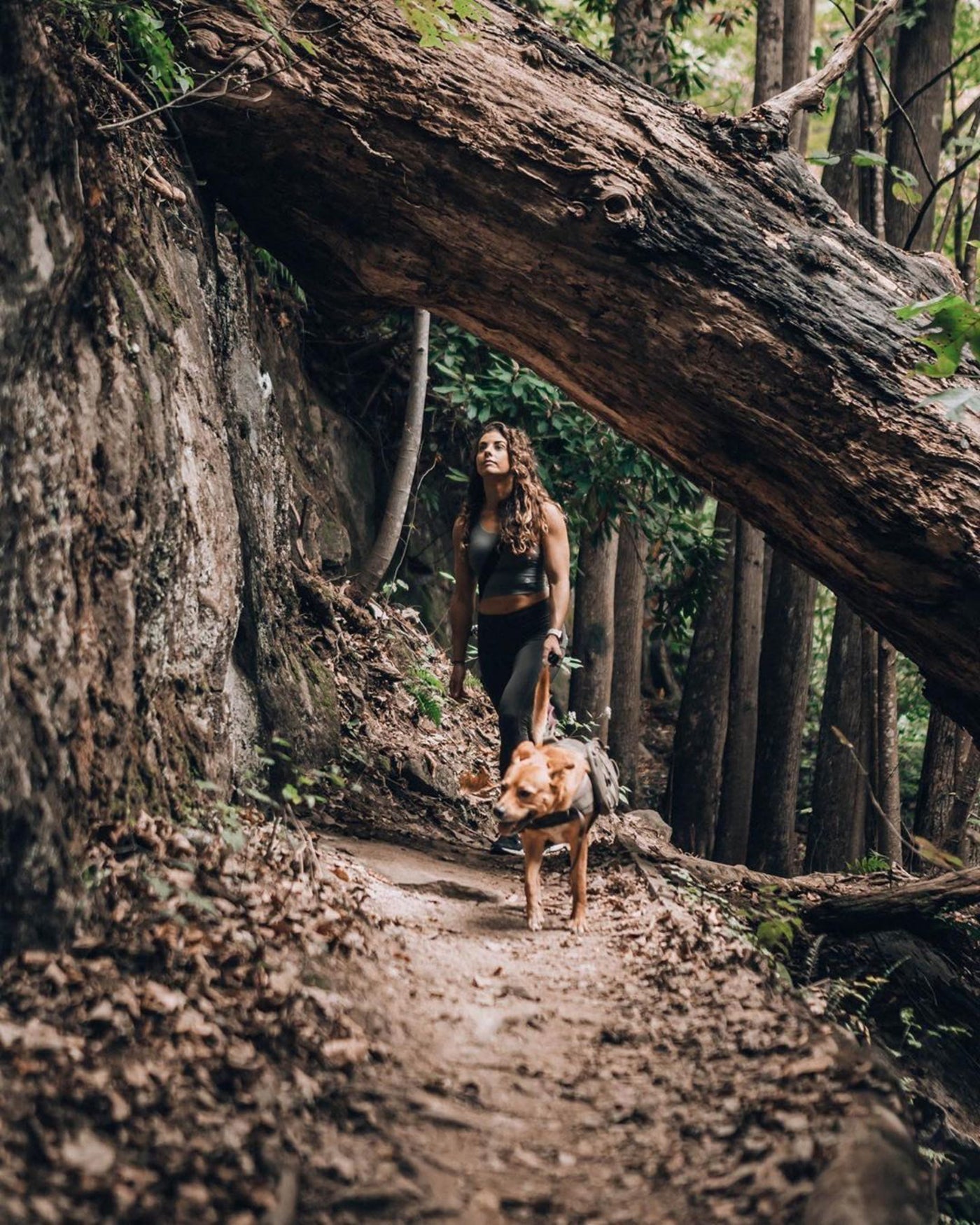 A woman and dog hiking along the Great Gorge Trail in Ohiopyle State Park