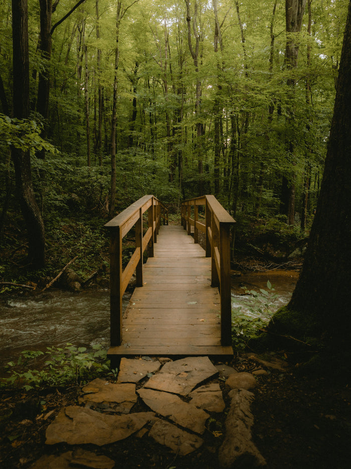 A bridge on the Jonathan Run Falls Trail