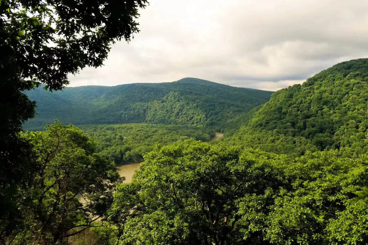 A view of the Youghiogheny River from the Laurel Highlands Hiking Trail