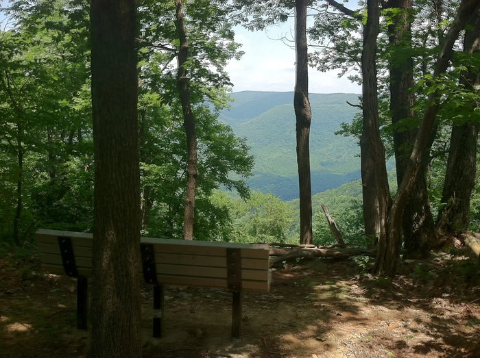 The Laurel Highlands overlook on the McCune Trail