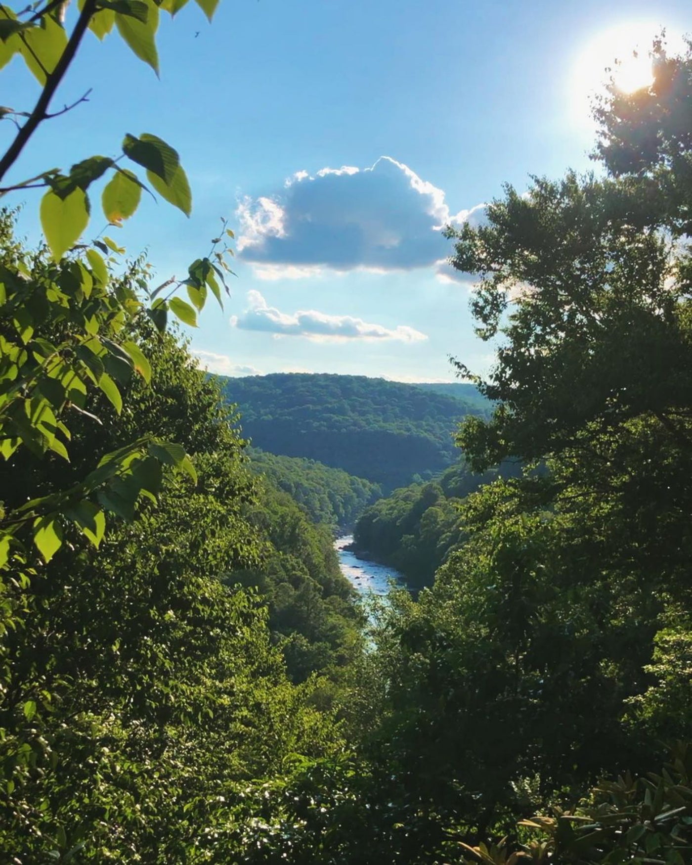 The Youghiogheny River viewed from Bear Run Trail